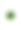 人的绿色眼球虹膜瞳孔孤立在白色背景上。眼睛素材图片