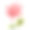 嘉兰属的花。Batanic水彩插图素材图片