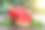 鲜切西瓜木背景素材图片
