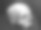 风化的人类头骨的黑白图像。素材图片