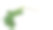 心型绿色叶片的朦胧牵牛花(Ipomoea obscura)攀缘藤本植物孤立在白色的背景，包括修剪路径。素材图片