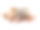 肉桂，黑色小豆蔻和茴芹在白色背景素材图片