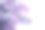 一束紫丁香在明亮的背景前，复古的颜色素材图片