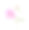 淡粉色牡丹孤立在白色背景上。素材图片