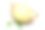 成熟的榴莲果肉呈黄色，榴莲叶上白色背景，果实成熟。素材图片