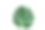 白色背景上的绿色怪兽热带树叶。素材图片