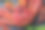 灰色背景上的红色帝王蟹。帝王蟹，柠檬和香菜，俯视图素材图片