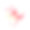 粉红兰花金钗石斛斑点粉红和白色热带花在白色背景水彩复古矢量插图可编辑素材图片