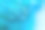 蓝色云杉与水滴，微距，近距离，背景素材图片