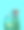 彩色背景下的林肯港鹦鹉素材图片