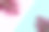 顶视图的热带棕榈叶上的蓝色和粉红色的背景素材图片