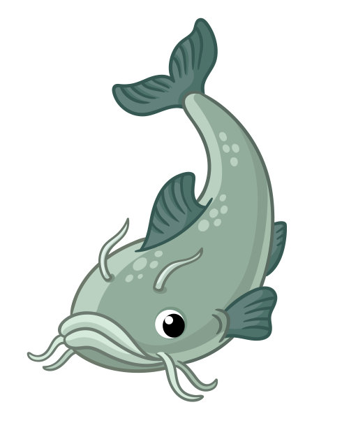 矢量插图与可爱的鲶鱼在白色的背景画一条鱼图片下载