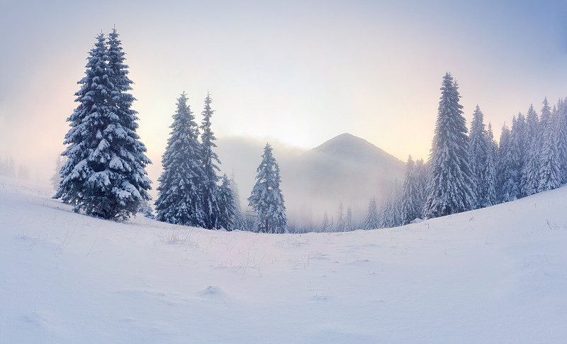 大雾弥漫的冬天山上的日出图片下载