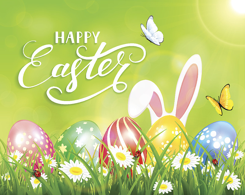 复活节快乐的绿色背景兔子和鸡蛋图片下载
