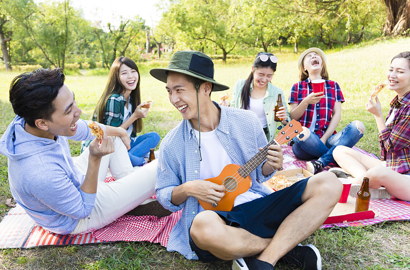 快乐的年轻群享受野餐派对图片下载